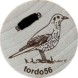 tordo56