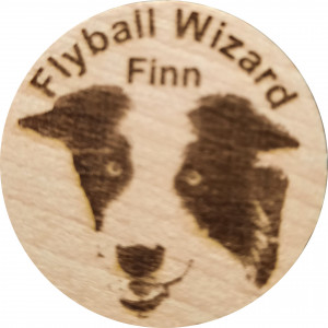 Flyball Wizard