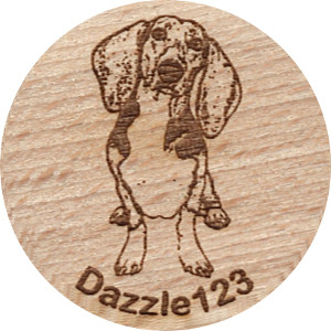 Dazzle123