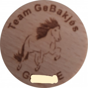 Team GeBakjes