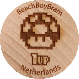 BeachBoyBram
