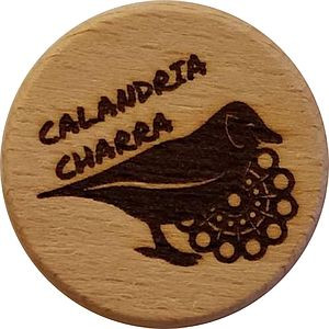 CALANDRIA CHARRA
