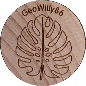 GeoWilly86 