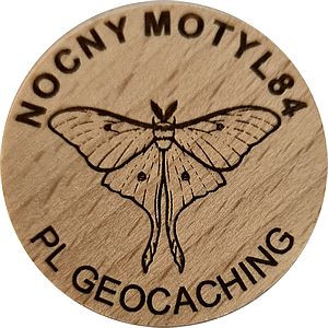 NOCNY MOTYL84