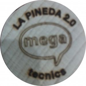 LA PINEDA 2.0 tecnics