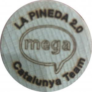 LA PINEDA 2.0 Catalunya Team