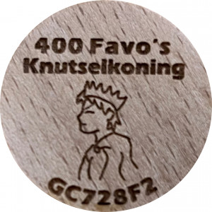 400 Favo’s Knutselkoning GC728F2