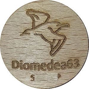Diomedea63