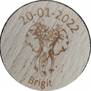 20-01-2022 Brigit 