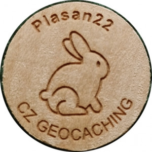 Plasan22