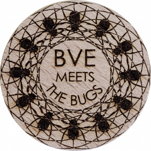 BVE MEETS THE BUGS