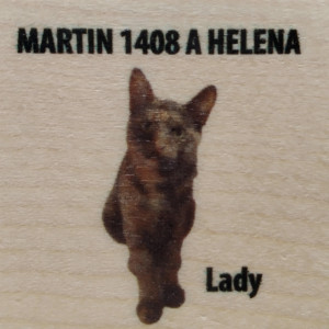 MARTIN 1408 A HELENA