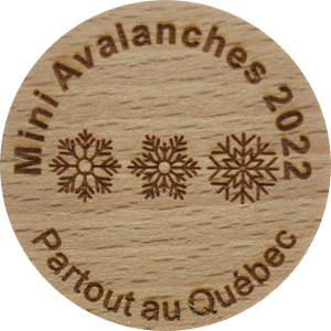 Mini Avalanches 2022