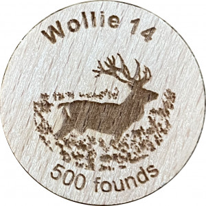 Wollie 14