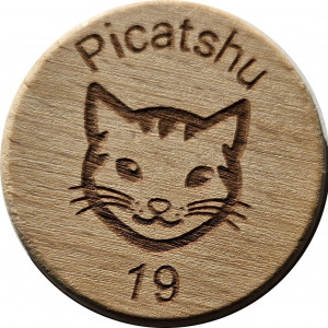Picatshu 19