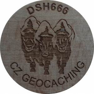 DSH666