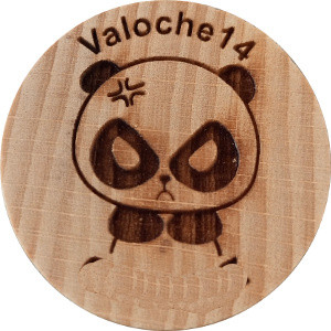 Valoche14 