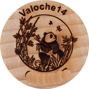 Valoche14 