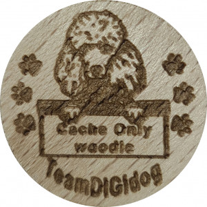 TeamDIGIdog