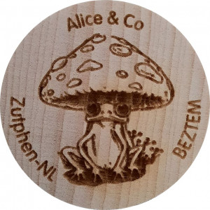 Alice & Co
