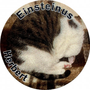 Einsteinus