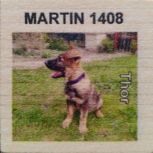 MARTIN 1408