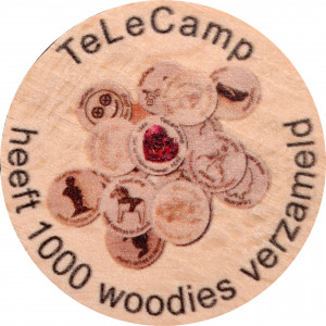 TeLeCamp