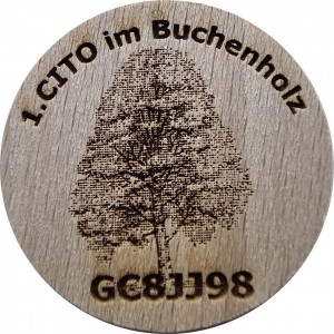 1.CITO im Buchenholz 