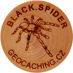 BLACK.SPIDER