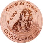 Cavalier Team