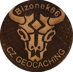 Bizonek66