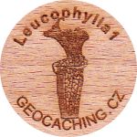 Leucophylla1