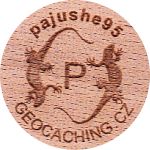 pajushe95
