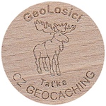 GeoLosici
