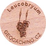 Leucobryum
