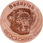 Baddylab