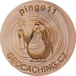 pingo11