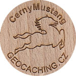 CernyMustang