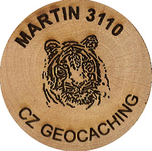 MARTIN 3110