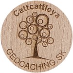 Cattcattleya