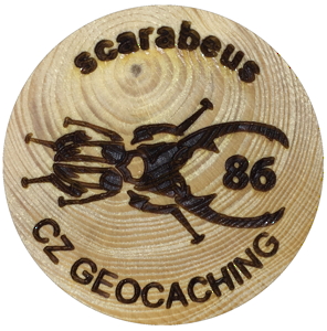 scarabeus